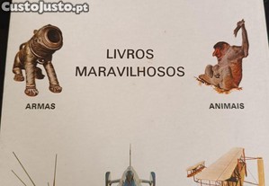 imagem_5