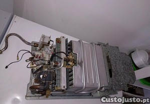 imagem_3