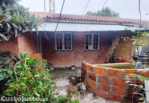 imagem_14