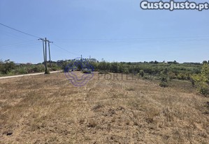 imagem_15
