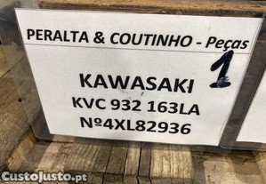 imagem_6