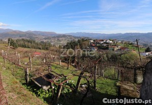 Ruína Em Tabaçô, Arcos De Valdevez