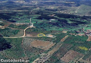 imagem_3