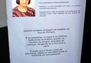 imagem_2