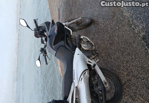 imagem_5