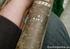 imagem_2