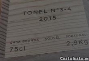 imagem_1