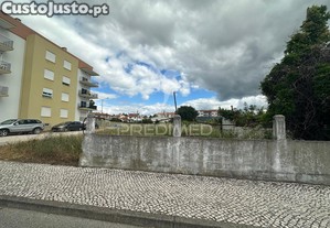 imagem_12