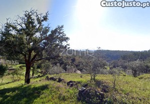 Terreno De 4992M2 Com Ruína Em Pedra Na Sertã