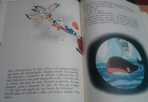 imagem_7