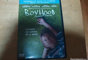dvd original boyhood momentos de uma vida