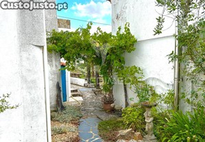 imagem_33