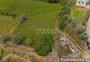 Terreno Com 9.375 M² Em Santa Marta De Penaguião