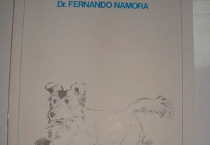O Gringo - Fernando Namora