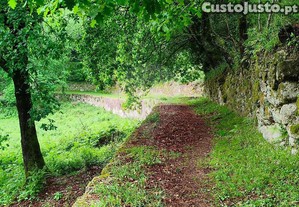 imagem_28