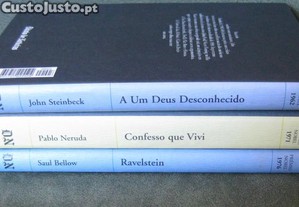 imagem_6