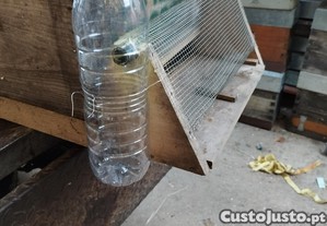 Armadilha para vespa asiática