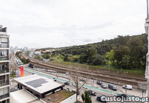 imagem_19
