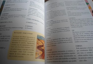 imagem_7