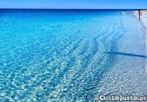 imagem_7