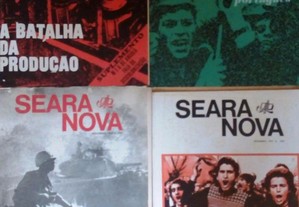 imagem_3