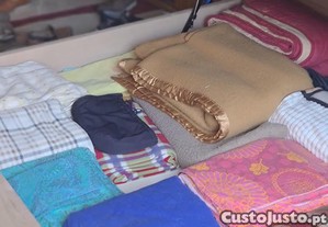 imagem_4