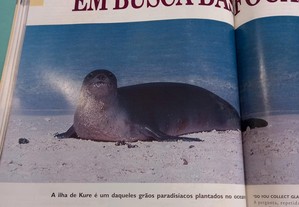 imagem_7