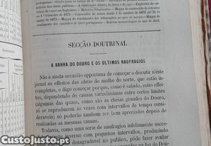 imagem_7