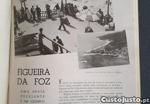 imagem_5