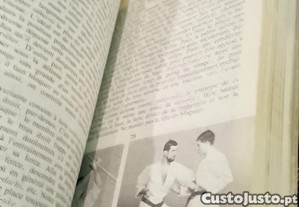 imagem_5