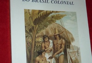 Guia de História do Brasil Colonial
