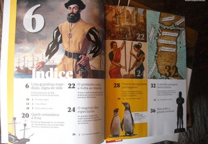 imagem_4