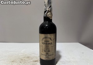 imagem_1