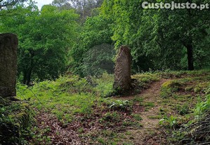 imagem_29