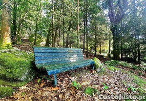 imagem_27