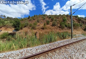 imagem_7