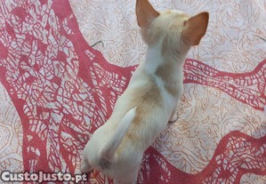imagem_3