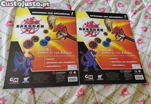 imagem_2