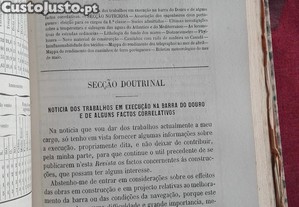 imagem_8