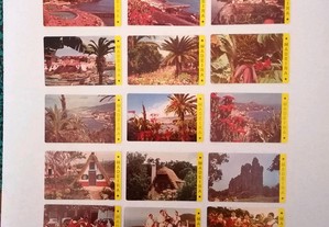 19 calendários de 1986 da Madeira