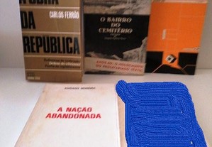 imagem_7