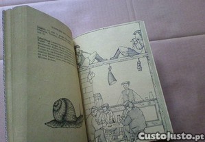 imagem_5