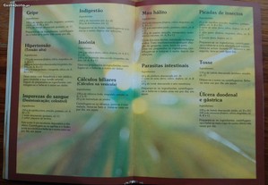 imagem_8