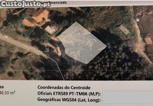 imagem_12
