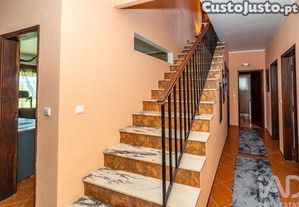 imagem_21