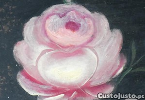 imagem_13