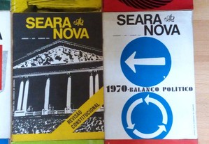 imagem_5