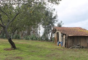 Terreno Misto Em Lugar De Moreira _ Melres |...