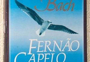 Fernão Capelo Gaivota - Richard Bach