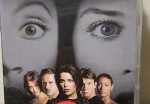imagem_7